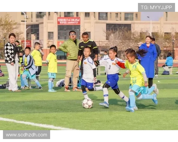 聚焦绿茵英雄全面探秘当代足球运动员多维成长全景心路历程探索