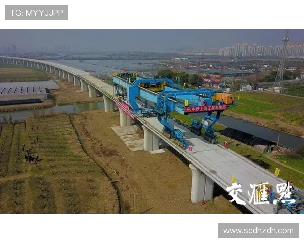 以上海海港为核心推动区域经济一体化与全球航运枢纽建设的战略规划分析