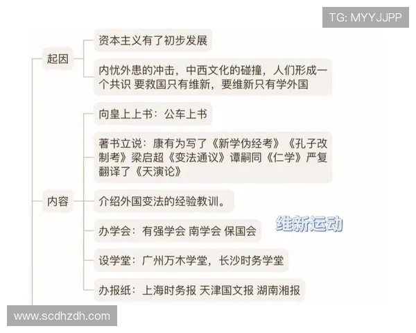 以运动为核心探索健康生活与身心平衡的多维发展路径