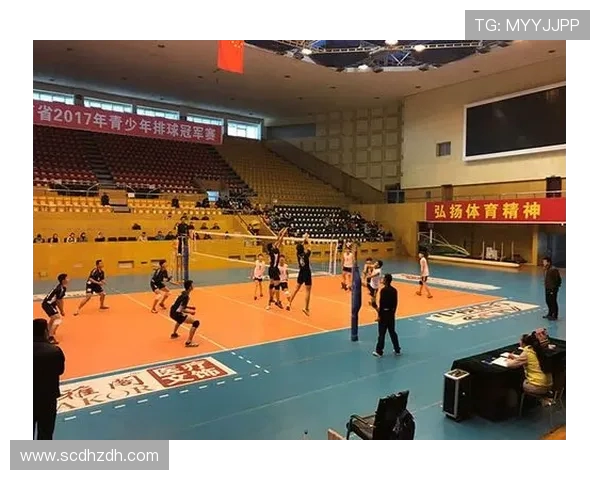 对话杨军：回顾排球生涯的辉煌与挑战，分享成长与坚持的故事