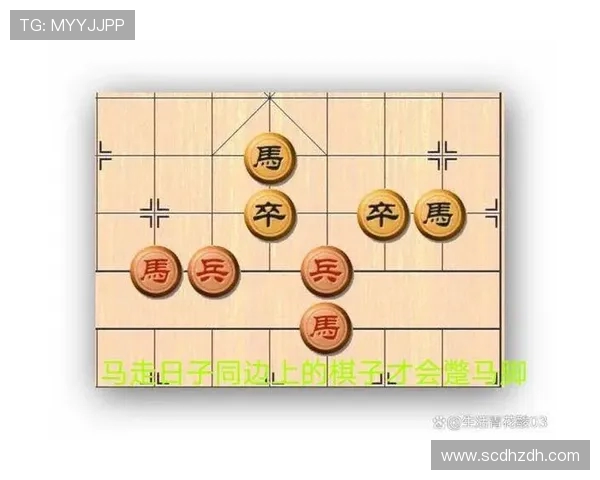 杭州极限运动队的阵地战策略深度解析与战术应用探讨