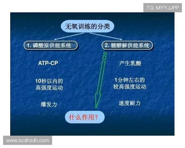 深圳羽毛球队的防反战术解析与深度剖析