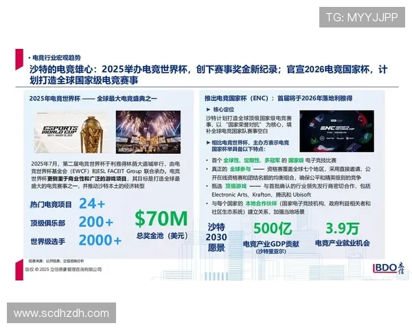 《全球电竞赛事迎来新纪元 电竞产业发展趋势与未来展望》