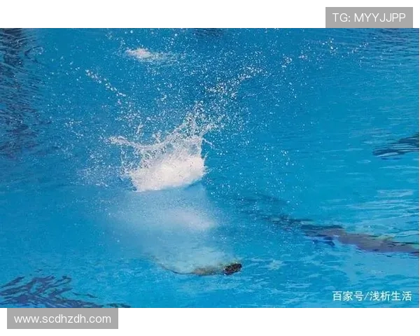 从高空到水花的艺术探秘跳水运动员的极限挑战与优雅瞬间